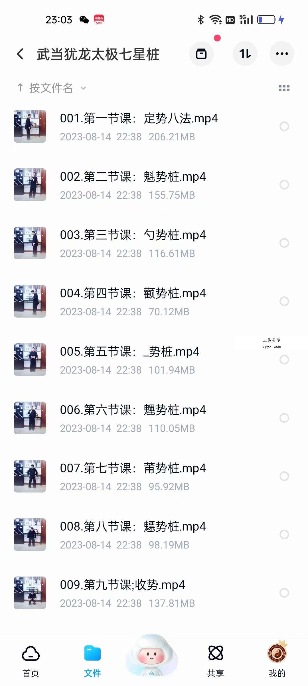 武当犹龙太极七星桩9集 课程封面