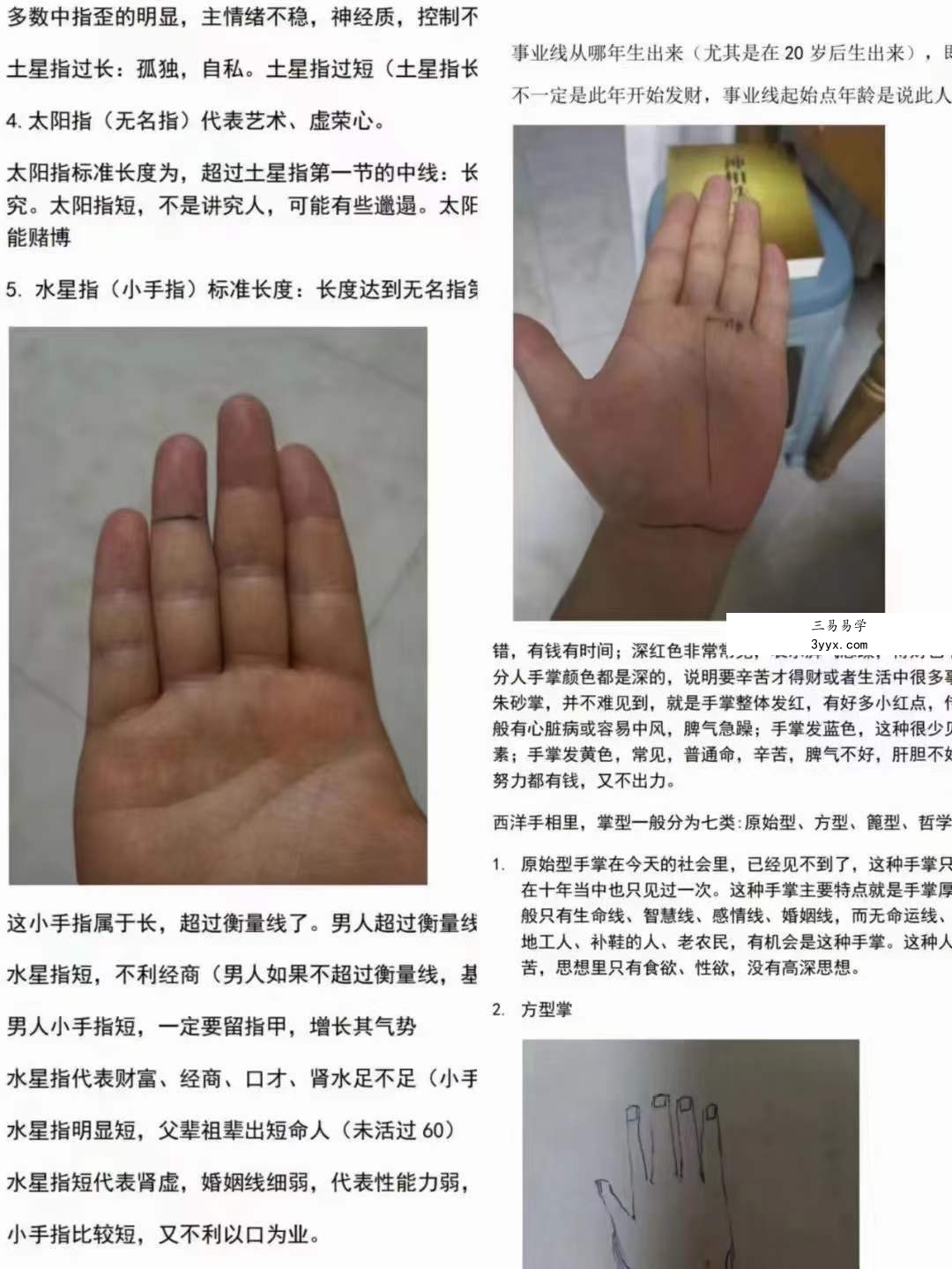 详睿相法2020年手相初级班第一期 课程封面