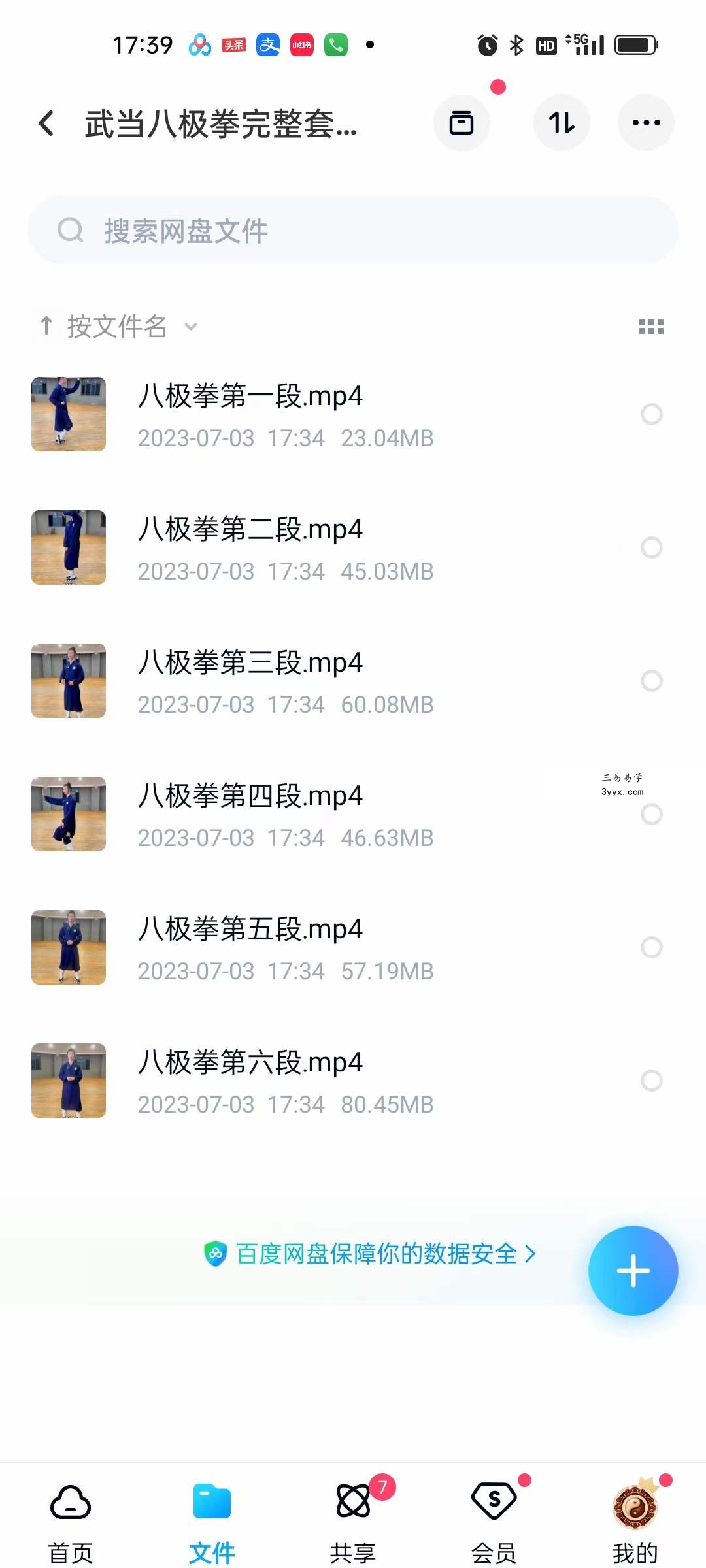 武当八极拳完整套路课程6集 课程封面