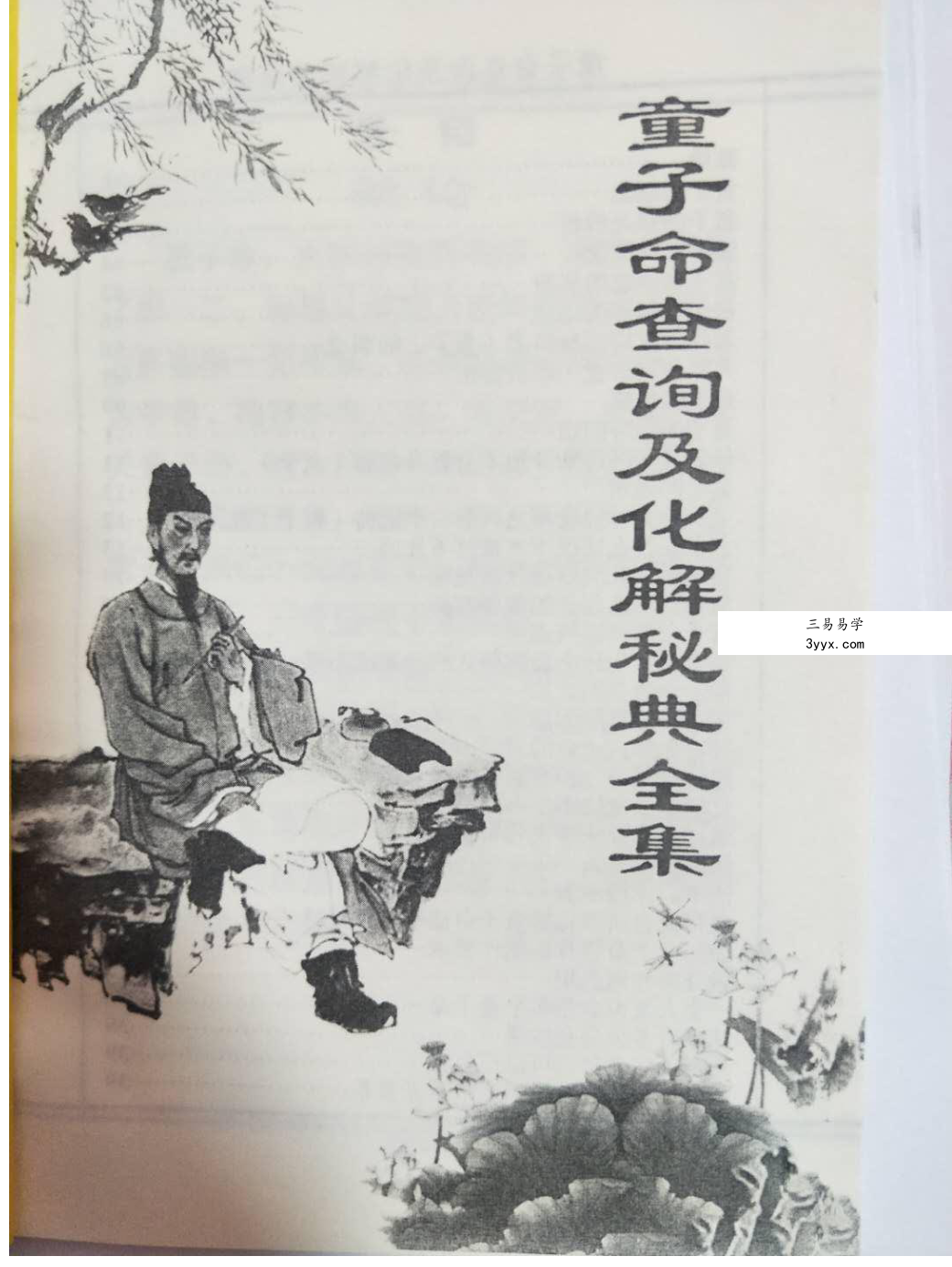 童子命查询及化解秘典全集 课程封面