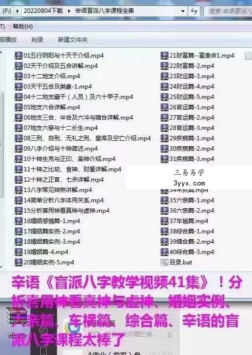 辛语盲派八字课程全集41集 课程封面