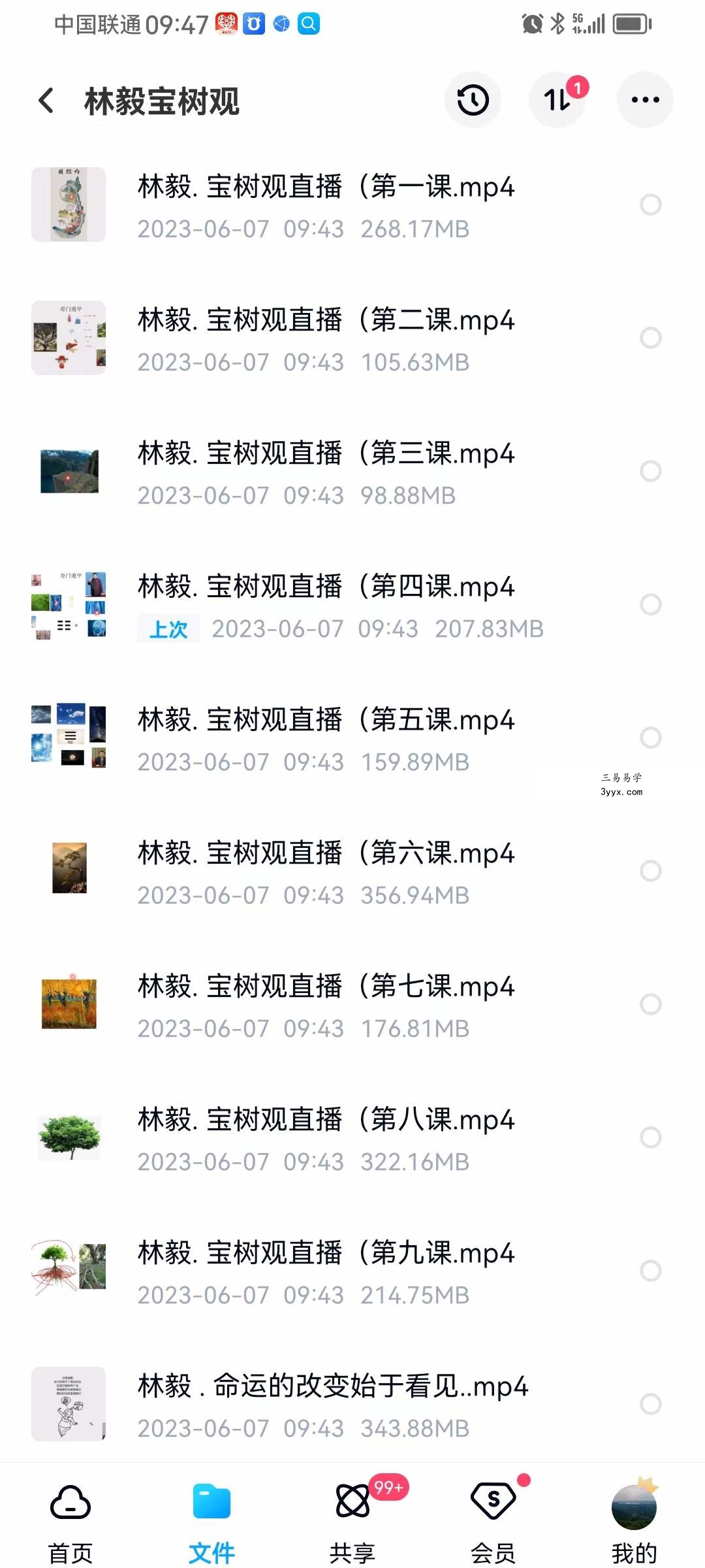 林毅 宝树观奇门存思14天打卡修习营 课程封面