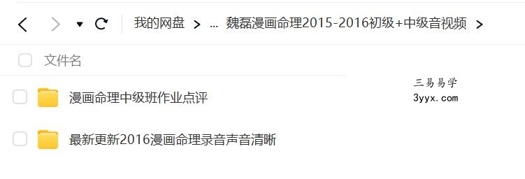 魏磊漫画命理2015-2016初级+中级音视频 课程封面