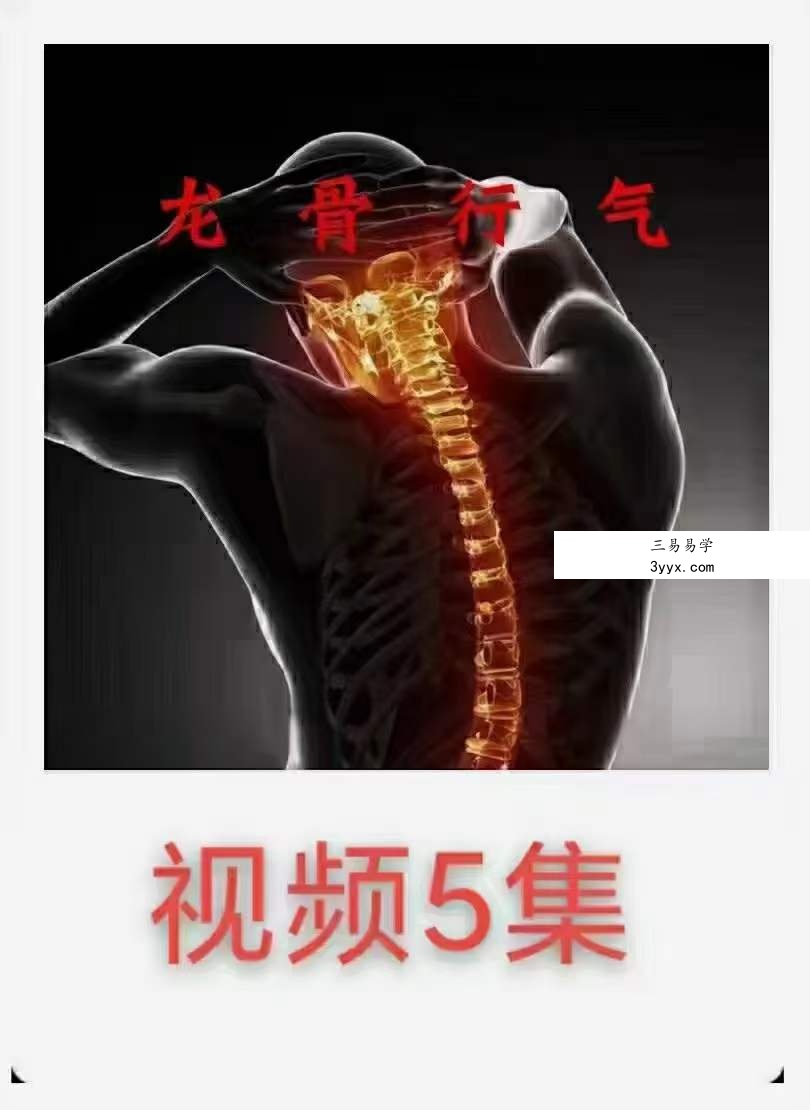 涂金盛龙骨行气 课程封面