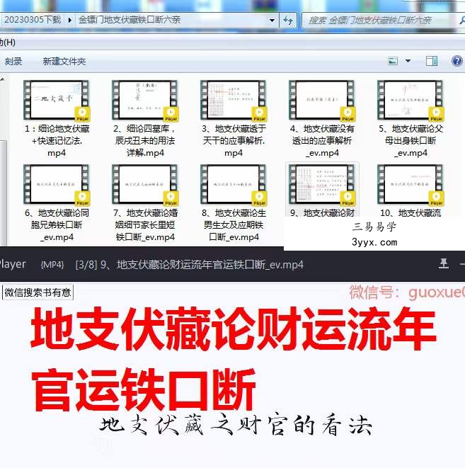 金镖门地支伏藏铁口断六亲 课程封面