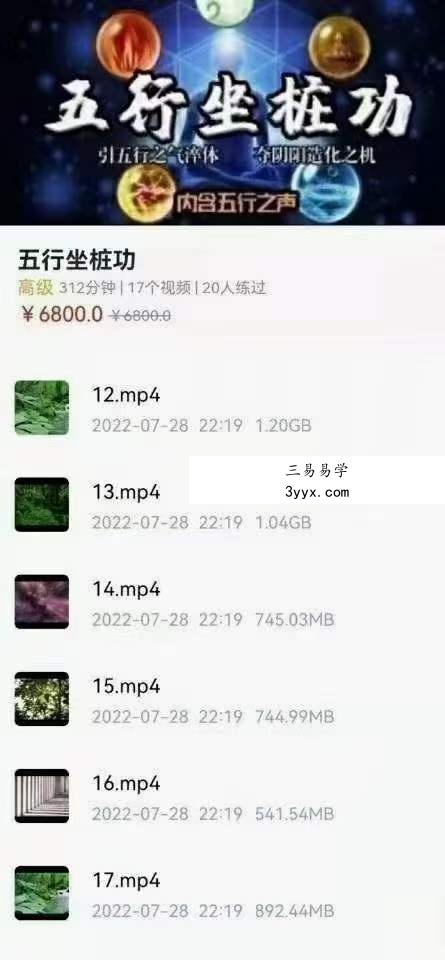 姜书洋 五行坐桩功 课程封面