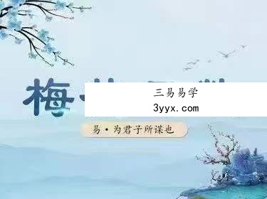 弘易梅花易数39节 课程封面