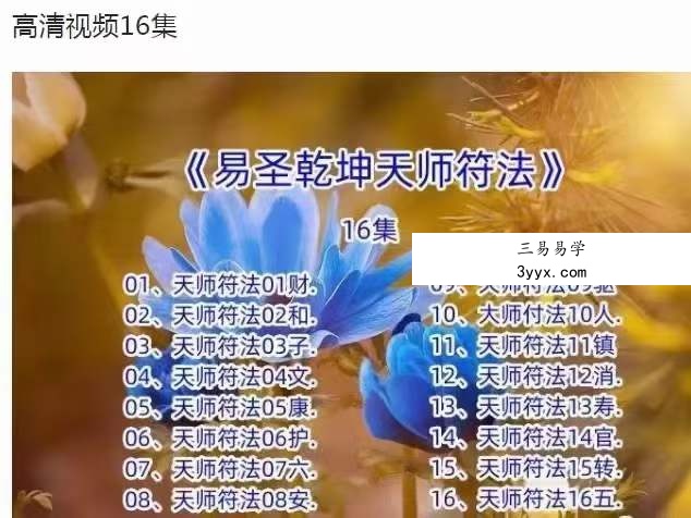 《易圣乾坤天师符法》16集 课程封面