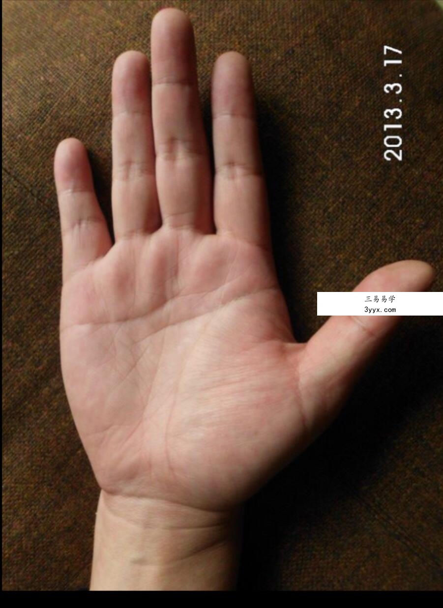 赵洪鹏手相案例70例资料 课程封面