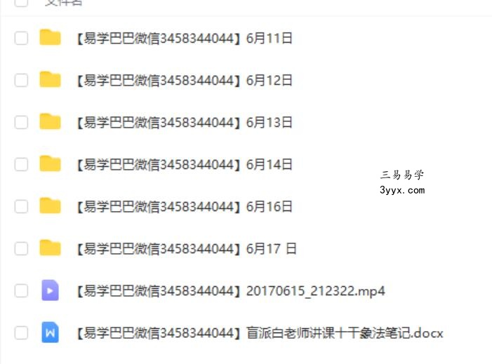 白金权盲派八字六天视频课程 课程封面