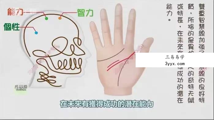 传统手相结合西方占星理论47集 零基础入门到精通 真人案例 课程封面
