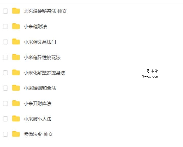 仲文天医坛 敏真道长鲁东【茅山秘术小米道法】二期讲课短视频+录音+文档+图片 夸克网盘下载 课程封面