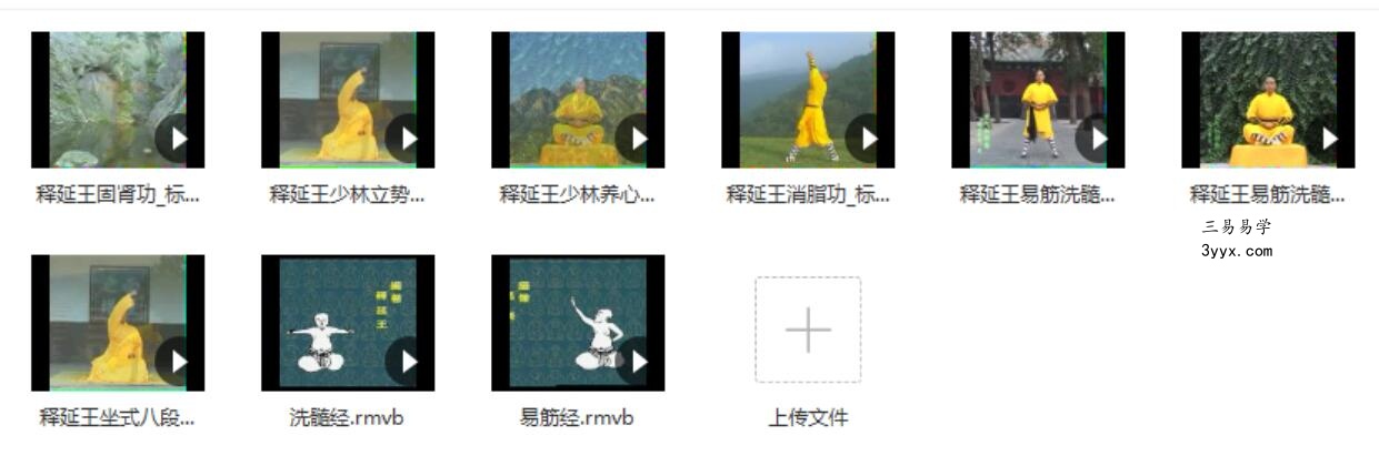释延王易经洗髓功 课程封面