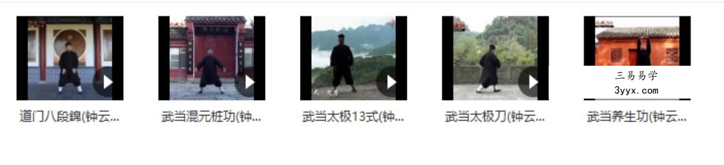 钟云龙道长亲传五套武当养生功法视频5集 课程封面
