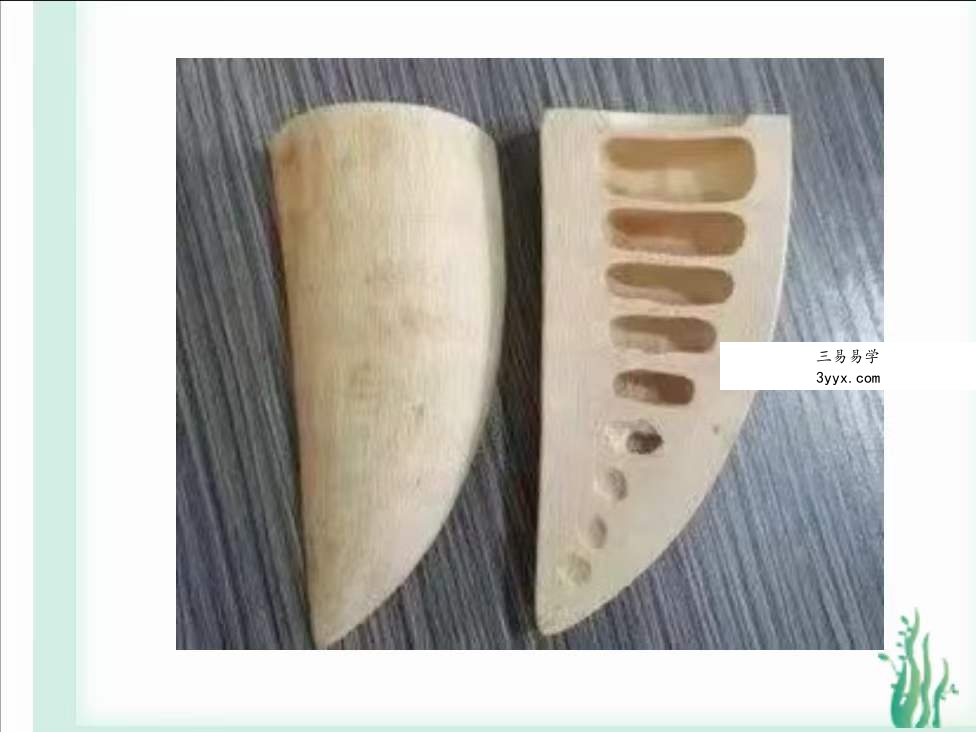 茅山神卦奇法视频+文档 百度网盘下载 课程封面