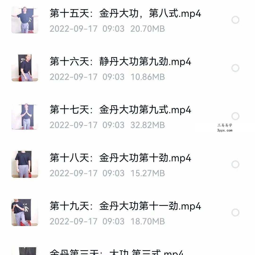 【洞玄师道传承】《金丹大功》视频13集 百度网盘下载 课程封面