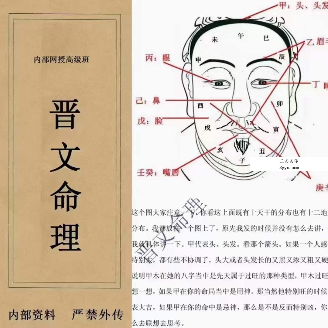 晋文八字命理内部网授班高级教学资料 301页 百度网盘下载 课程封面