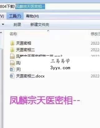 凤麟宗 天医密相 百度网盘下载 课程封面