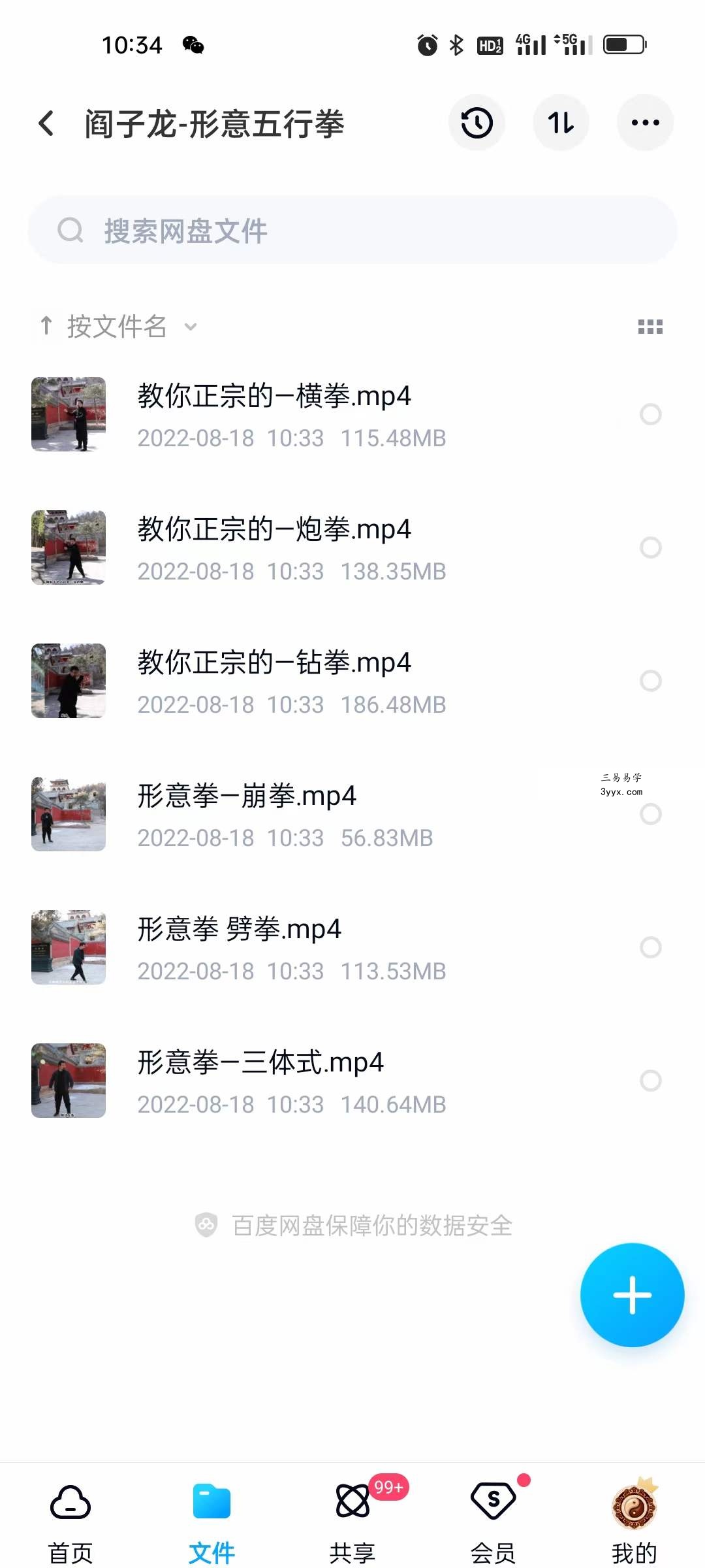 阎子龙-形意五行拳 百度网盘下载 课程封面