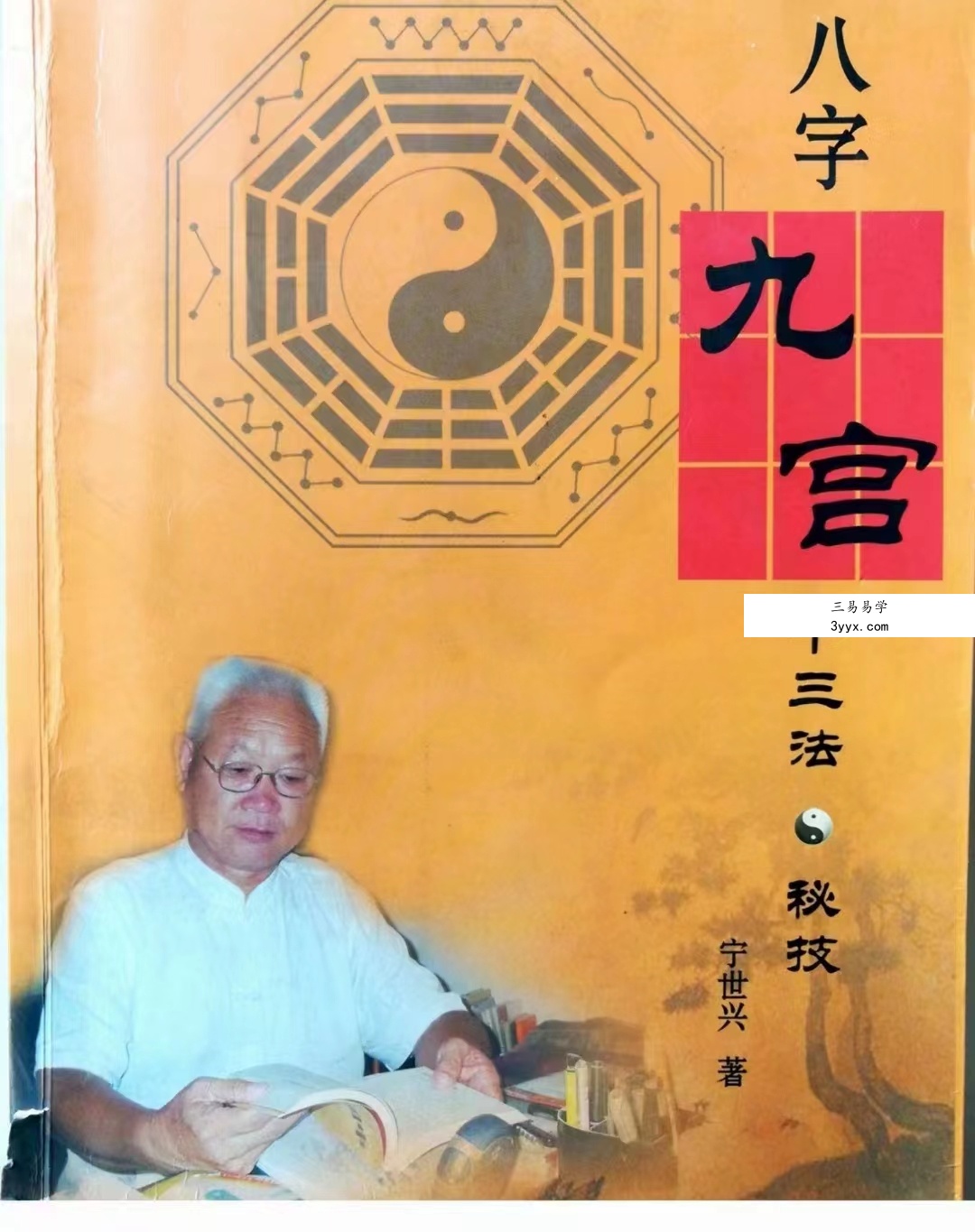 宁世兴 《八字九宫十三法 》322页 百度网盘下载 课程封面