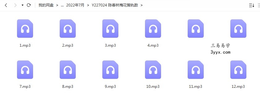 陈春林梅花策轨数录音12集 百度云下载！ 课程封面