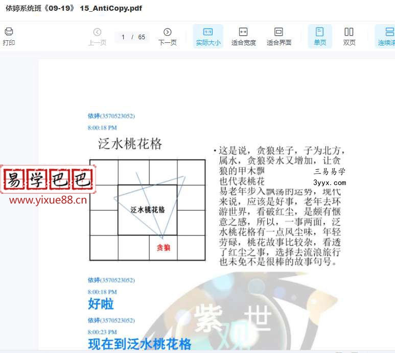 依婷2019年紫薇斗数课程39册讲义 课程封面