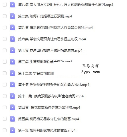 徐炳昕梅花易数中级班12集 课程封面