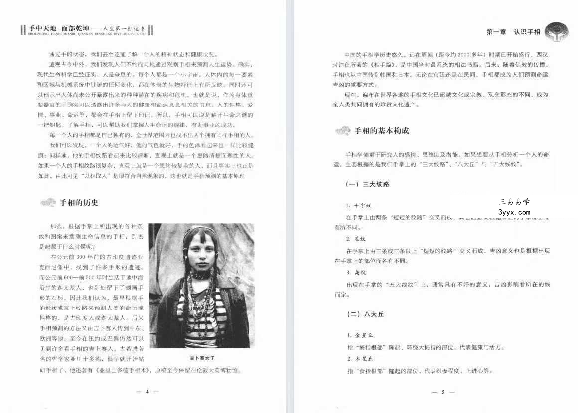 易水《手中天地 面部乾坤》320页 资料图片