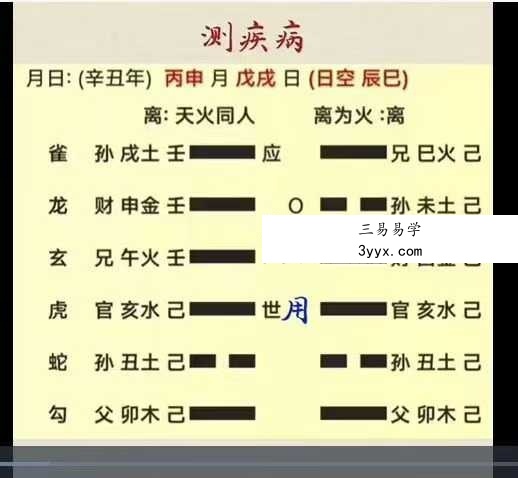 洛洛《六爻预测学》81集视频 资料图片
