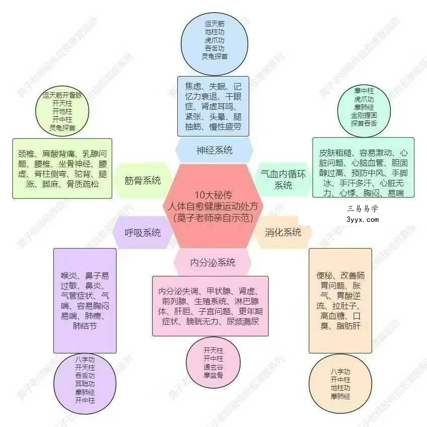 古法内门八段锦呼吸自愈能量营29天视频 资料图片