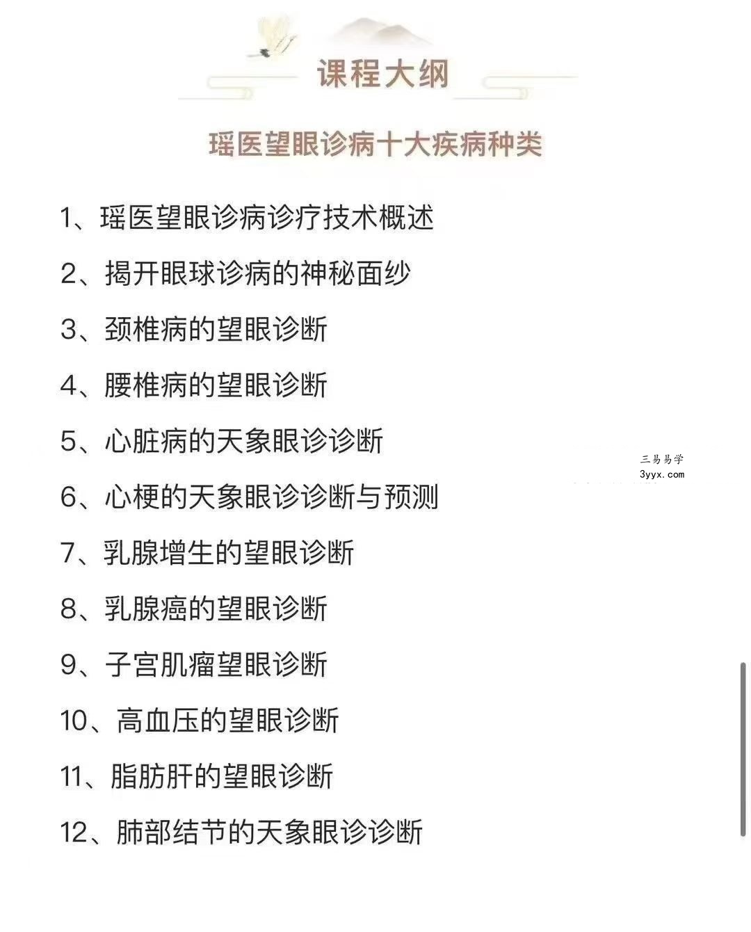 瑶医 天象眼诊丨十大高发疾病诊断线上课12集视频 资料图片