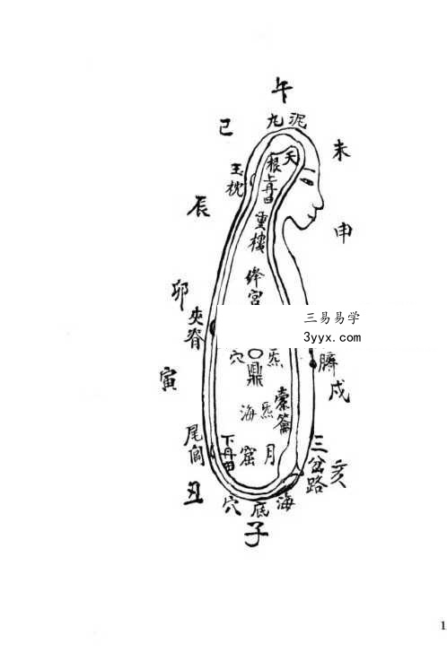 九天紫府金丹秘旨（上下册） 资料图片