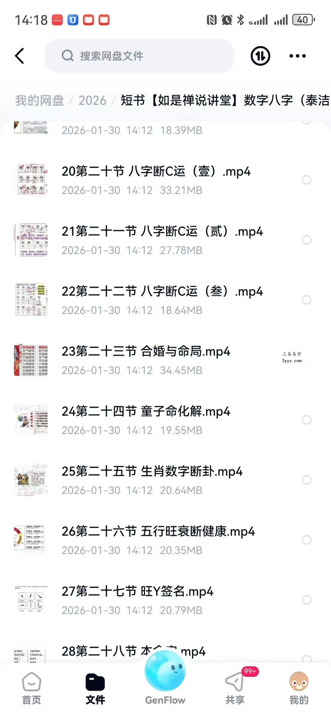 【如是禅说讲堂】数字八字（泰洁）高级班35集 资料图片