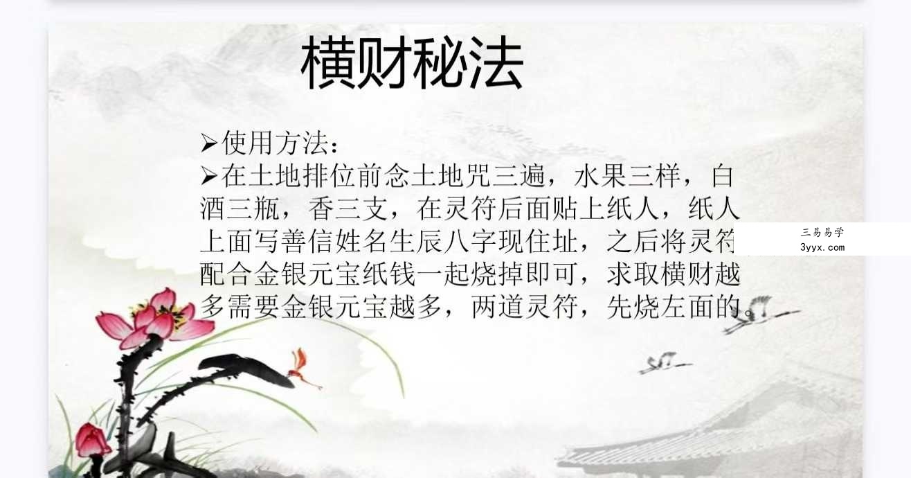 法泓《茅山玄真偏财秘法》视频+文档 资料图片