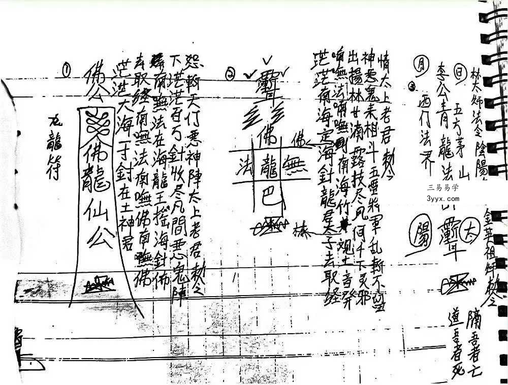 《茅山半路教》41页 资料图片