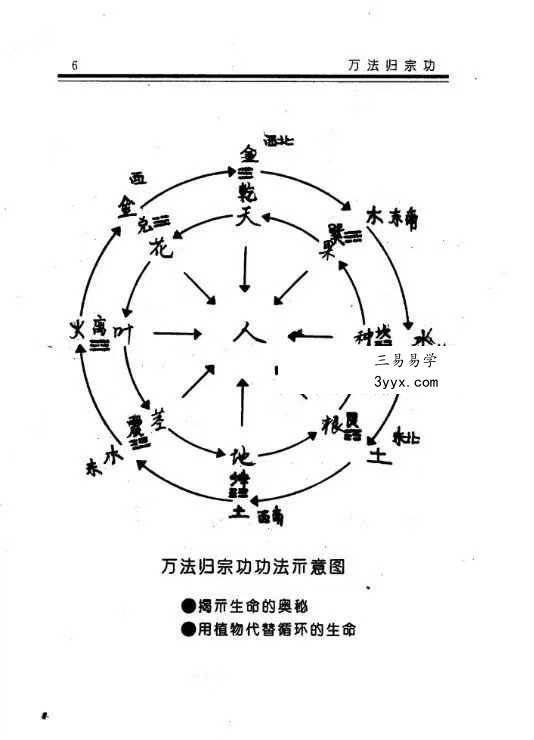 慧乐主讲 吕延蔚《济世神功 万法归宗功》194页 资料图片