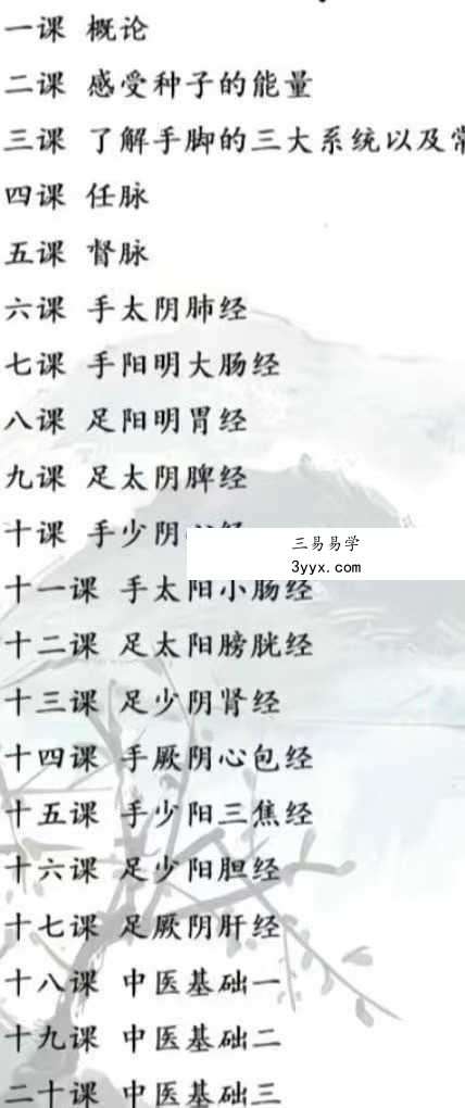 方寸山 太极对应手贴课 20节音频 资料图片
