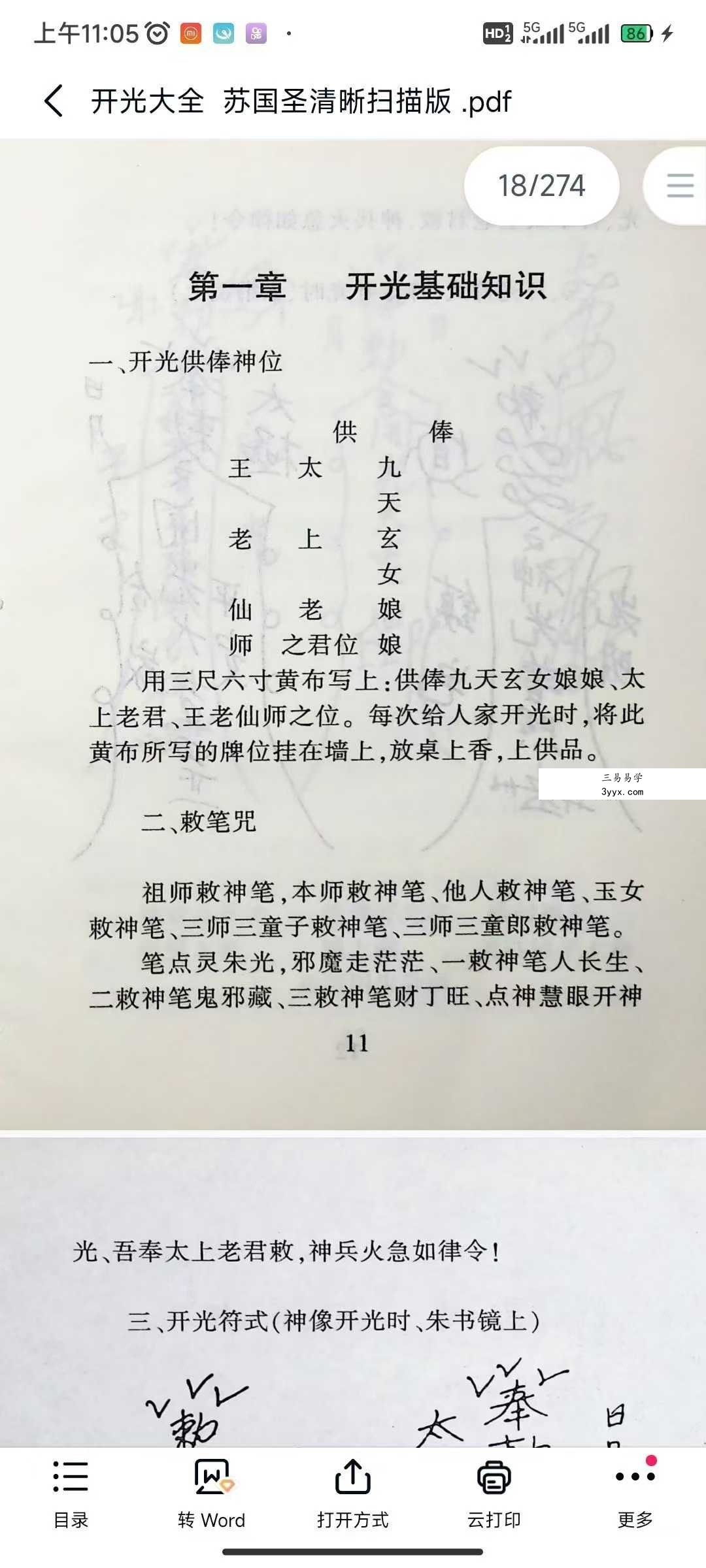 苏国圣《开光大全》274页 资料图片