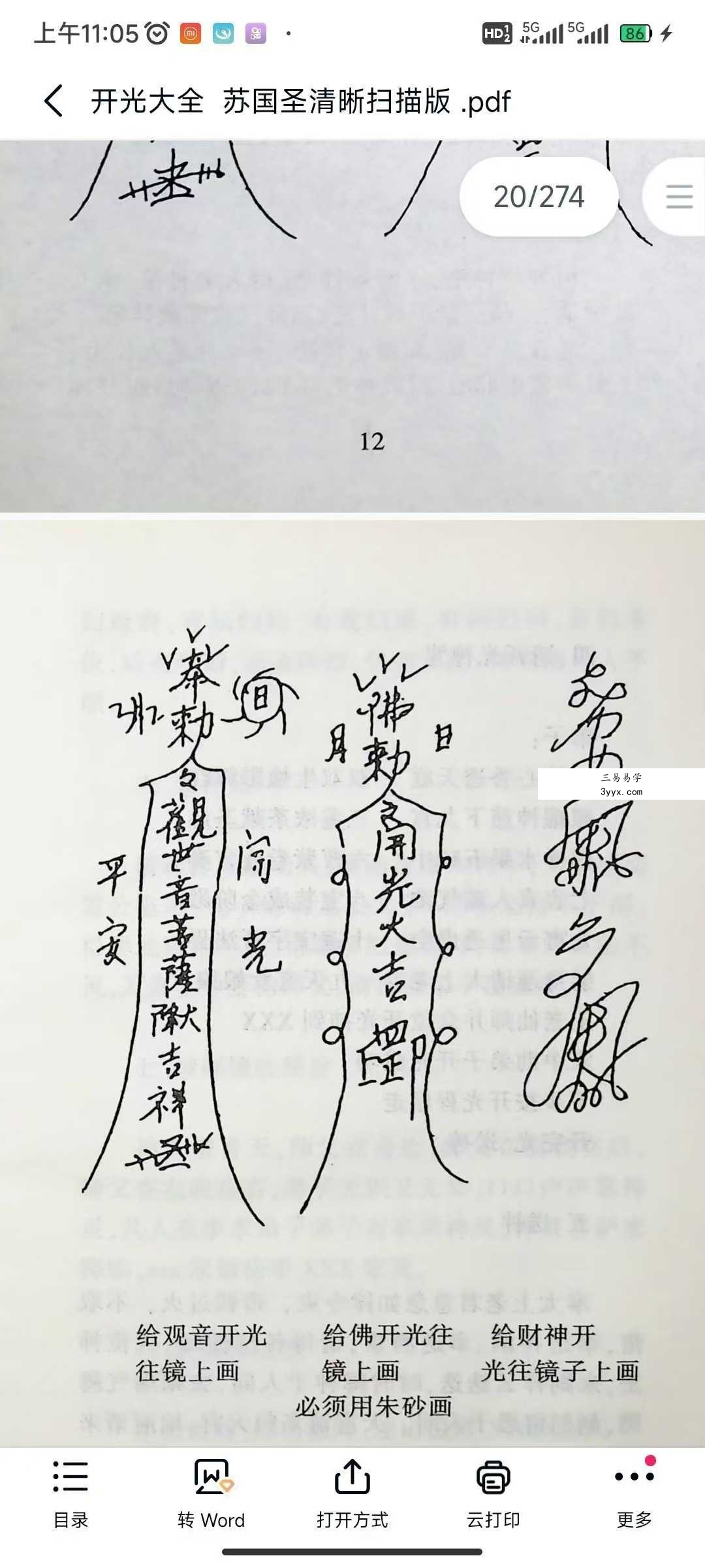 苏国圣《开光大全》274页 资料图片