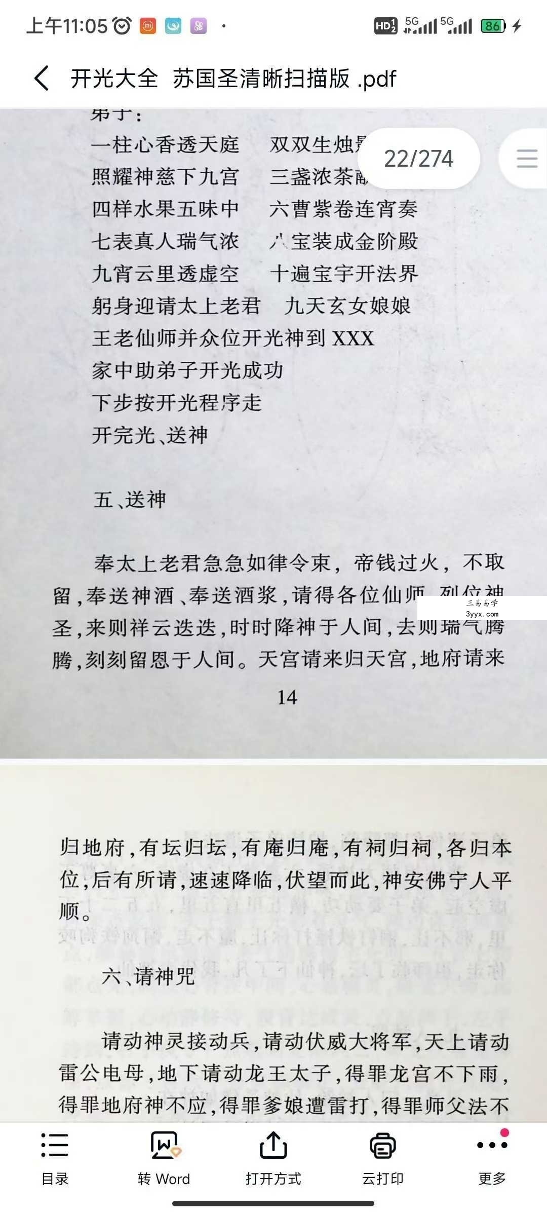 苏国圣《开光大全》274页 资料图片