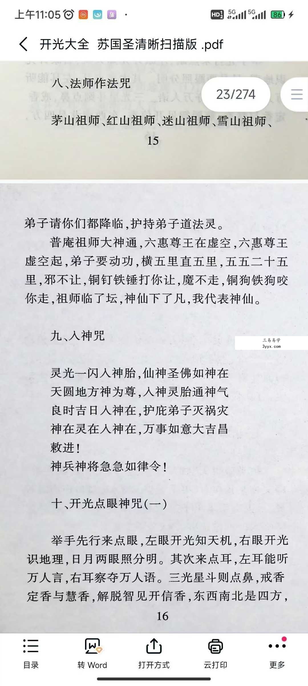 苏国圣《开光大全》274页 资料图片
