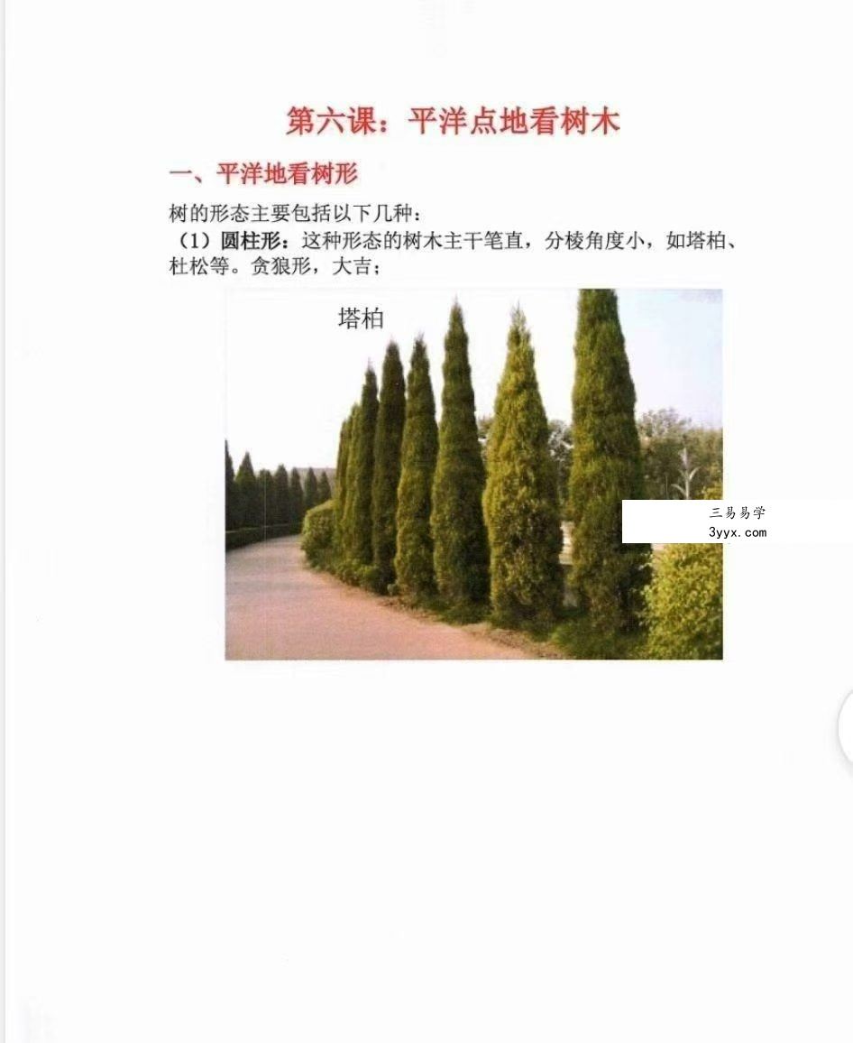 林来锦 古法形家地理讲义系列之《平洋地寻龙点穴断诀》96页 资料图片