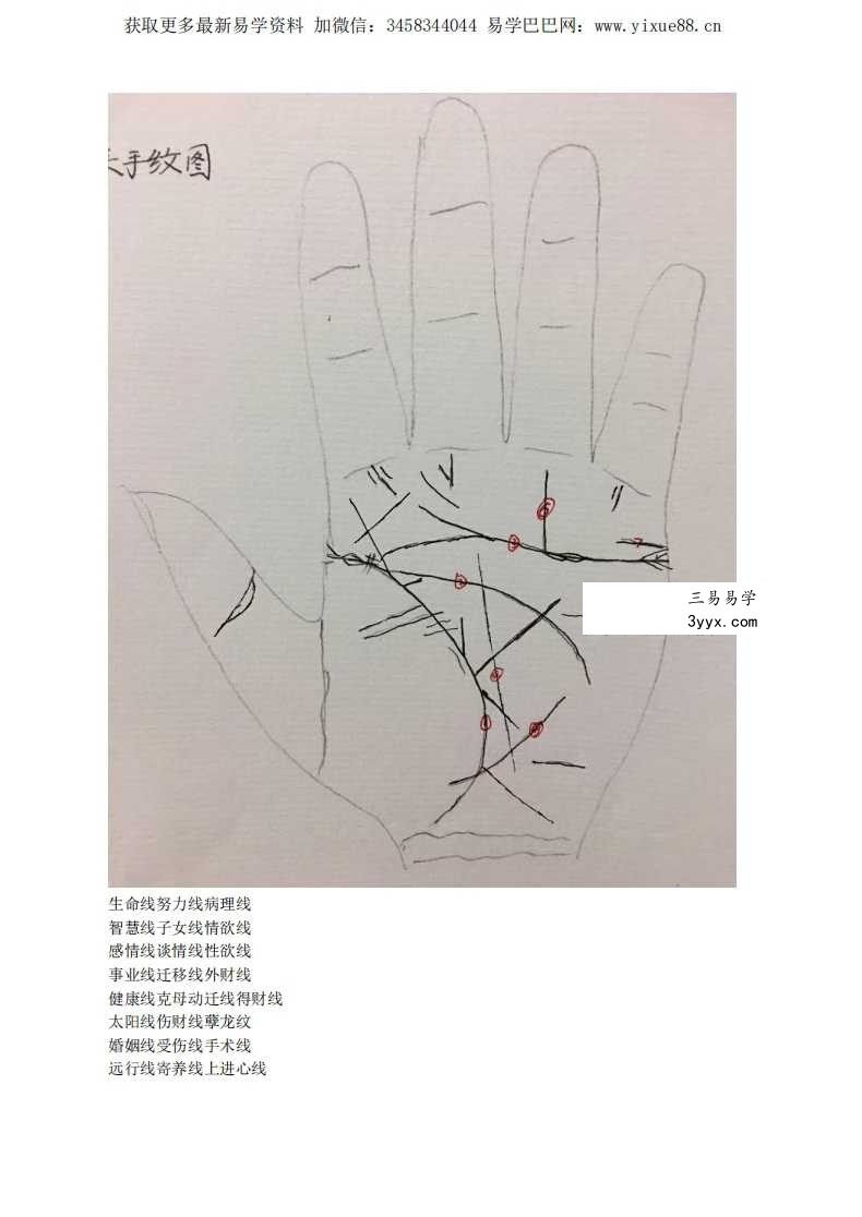 《随缘手相》53页 资料图片