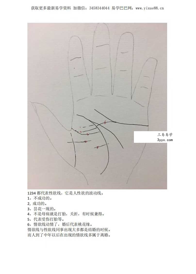 《随缘手相》53页 资料图片