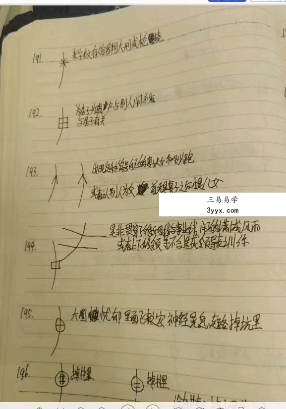 陈大有手相手抄笔记32页 资料图片