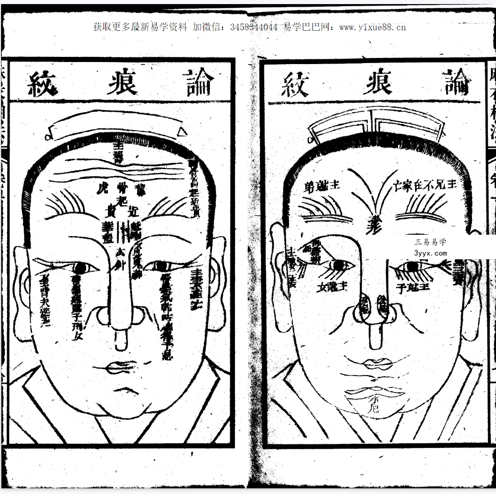 增释麻衣相法全编 同治本(上下册) 资料图片