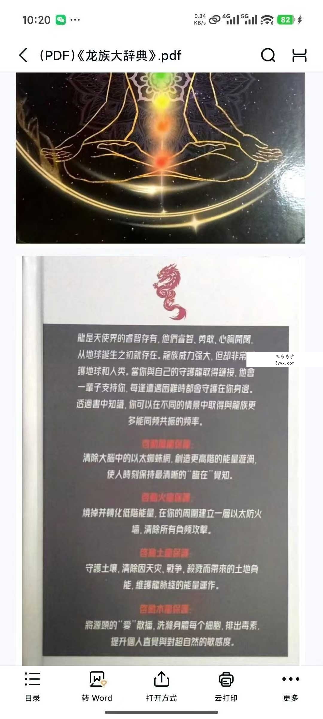蕉爷《龙族大辞典》499页 资料图片