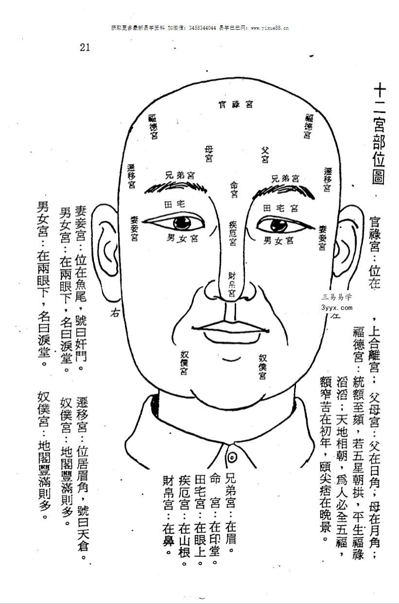 洪酉季《风鉴相法心镜》319页 资料图片