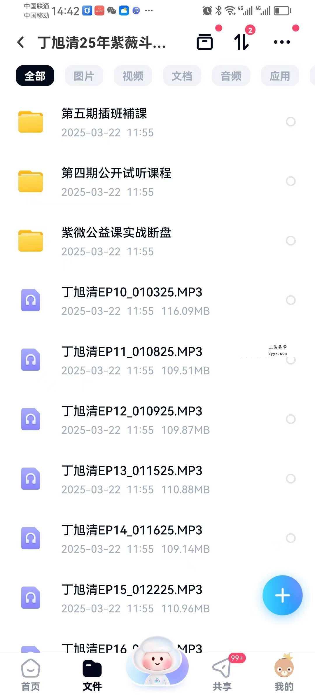 丁旭清 2025年紫薇斗数合集 资料图片