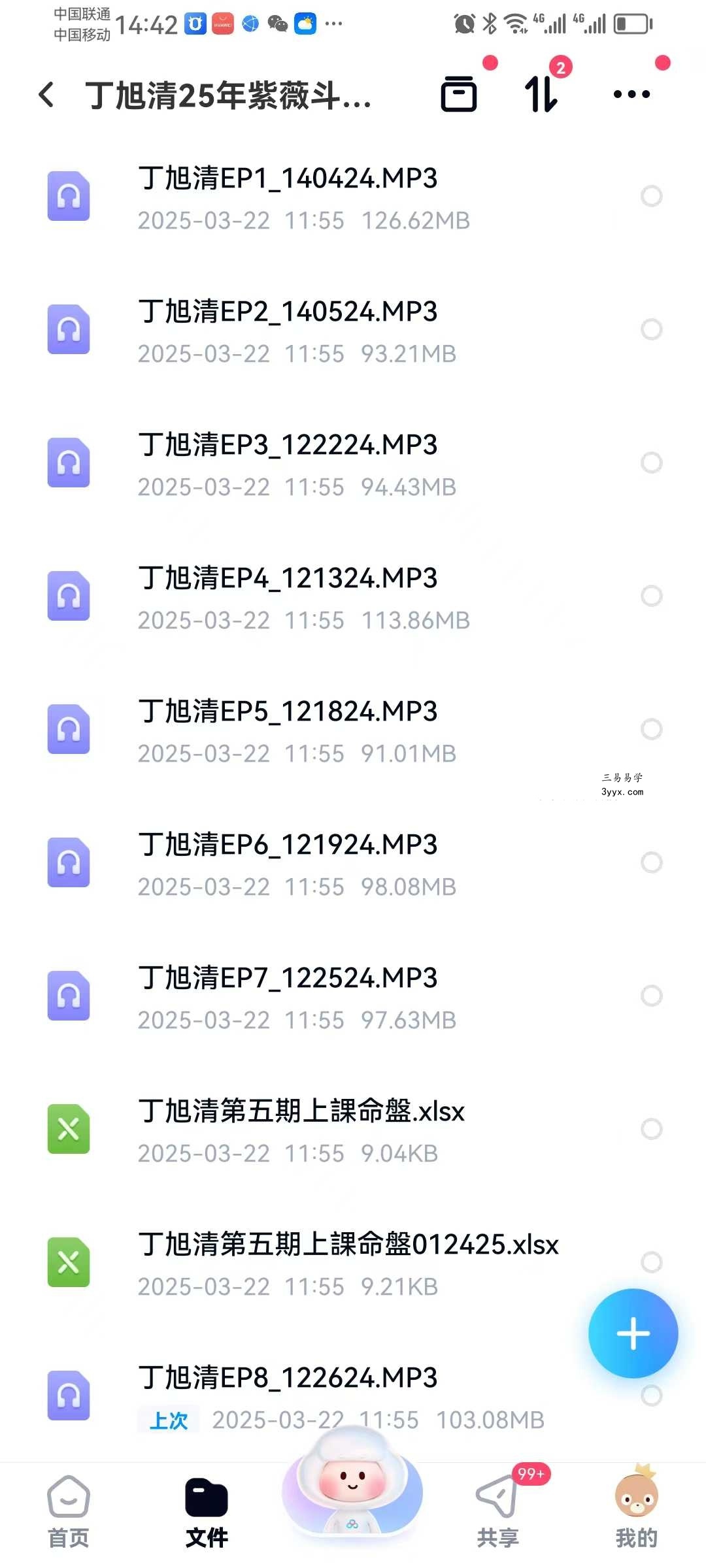丁旭清 2025年紫薇斗数合集 资料图片